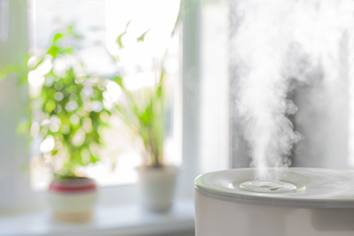 Humidifier spreading steam